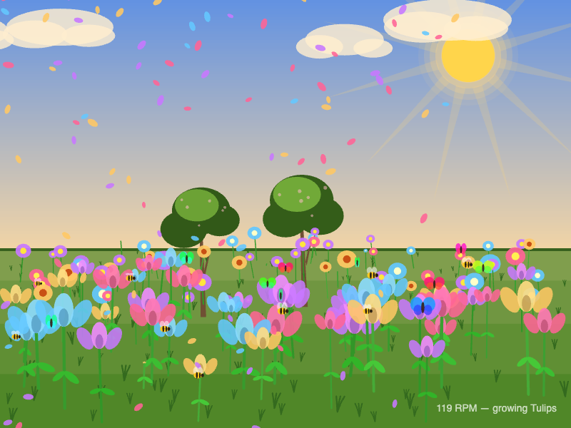 Bloom Garden